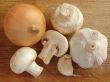 food ingredients