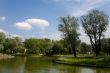 City park with pond
