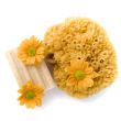 natural sponge, soap and flowers