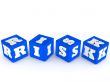 risk dices