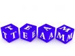 team dice