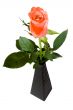 Pink rose in black vase