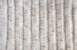 material texture
