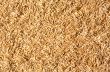 grains of oat