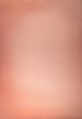 background of rose color