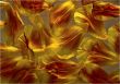 Golden tulip petals background