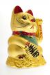 Lucky golden Cat