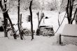 view of winter landscape