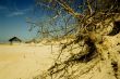 sandy beach in sunny day and deep blue sky