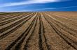 Ploughed field