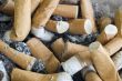 Cigarette butts