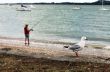 Fisherman and the seagull