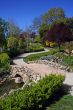 Beautiful garden