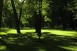 view of park at sunny day