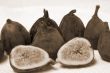 Fig fruit sepia