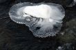 Ice Formations