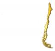 Chile 3d Golden Map