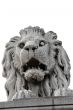 Stone lion