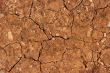 Soil