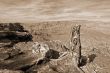 Grand Canyon View sepia