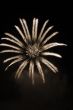 Fireworks lighting in floral pattern at night sepia