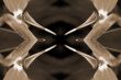 Flower Art Bird Of Paradise sepia