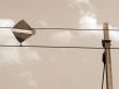 Kite Trapped on Wires sepia
