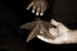 Woman Holding Starfish sepia