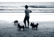 Lady with dogs