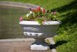 City flowers