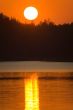 Orange sky