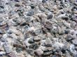 Marble crumb