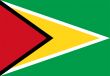 Guyana Flag