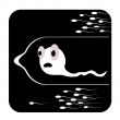 sad spermatozoon condom