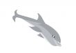 isolated illustration of jumping dolphin