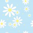 seamless pattern with camomiles