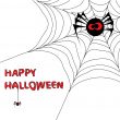 Halloween background with spider`s web 3.