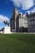 Liver Building and Edward VII statue