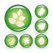 Set of web icons with leaves
