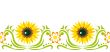 Seamless ornament with  sunflower