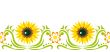 Seamless ornament with  sunflower