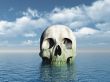 skull