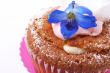 Miniature cupcake with meringue