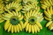 banana fruit for sale