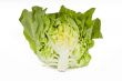 Cut lettuce on white background