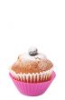 Blueberry muffin on white