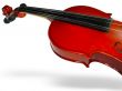 Classic violin closeup with shadow over white background