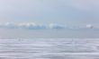 fishermens on ice