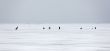 Winter fishing
