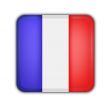 flag of france